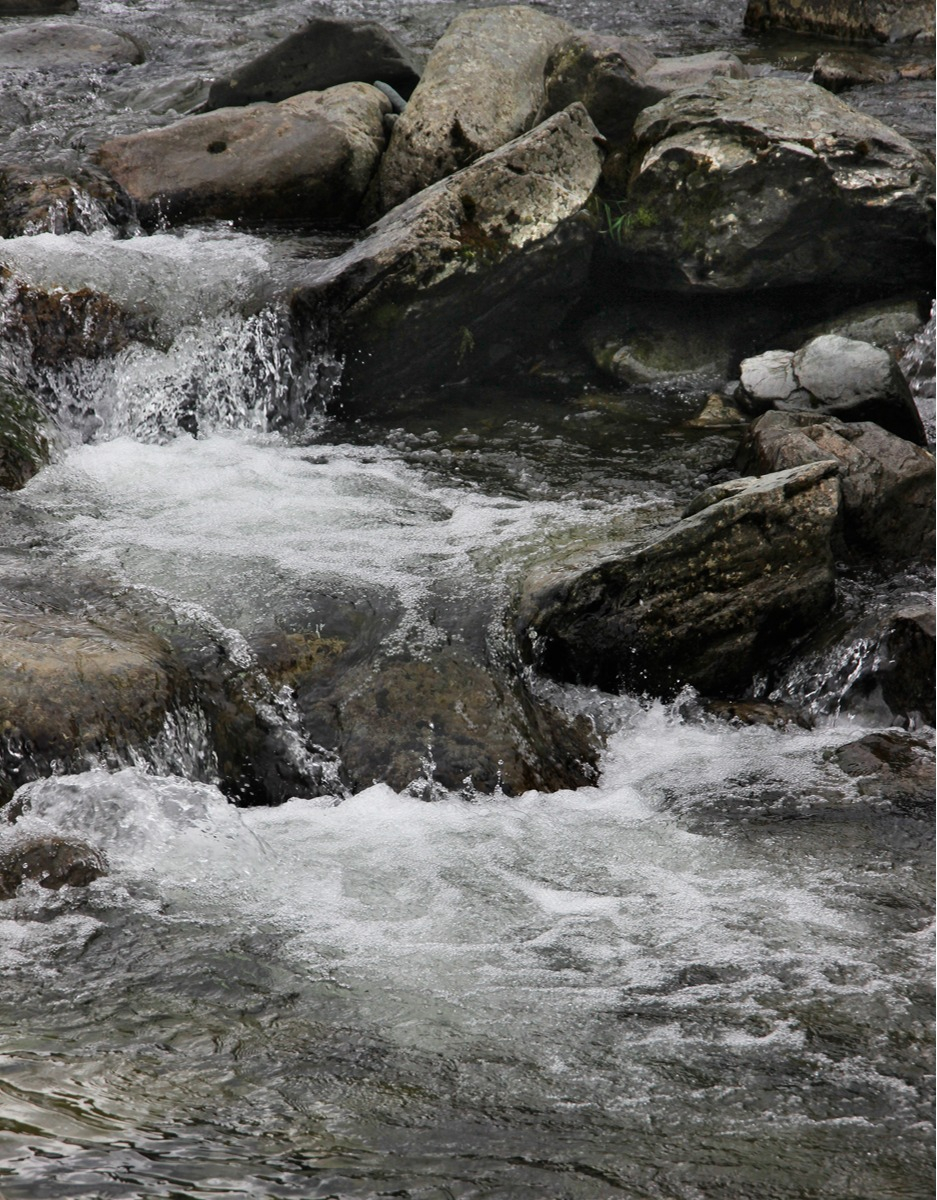 Lakeland stream